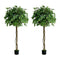 2-Pack Ficus Tree 180cm Faux Plant, PE Plastic, Cement Pot Base