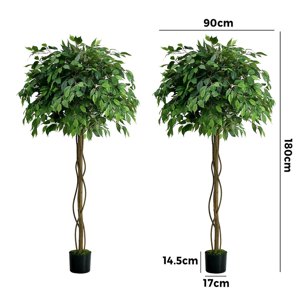 2-Pack Ficus Tree 180cm Faux Plant, PE Plastic, Cement Pot Base