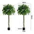 2-Pack Ficus Tree 180cm Faux Plant, PE Plastic, Cement Pot Base