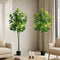 2-Pack Fiddle Leaf Fig Tree Faux Plants, 150cm, Fade-Resistant Set