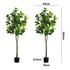 2-Pack Fiddle Leaf Fig Tree Faux Plants, 150cm, Fade-Resistant Set