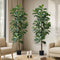 2x Artificial Fiddle Leaf Fig Tree Lifelike Faux Plants 180cm