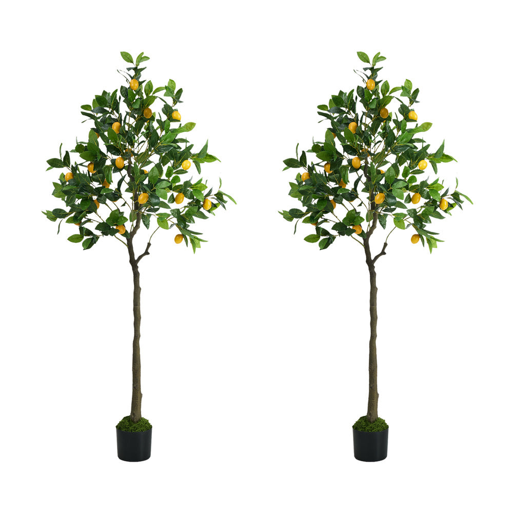 2-Pack Lemon Tree 150cm Faux Plant, PE Plastic, Cement Pot Base