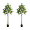 2-Pack Lemon Tree 150cm Faux Plant, PE Plastic, Cement Pot Base