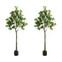 2-Pack Lemon Tree 150cm Faux Plant, PE Plastic, Cement Pot Base