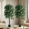 2 Pack 150cm Artificial Ficus Tree Faux Potted Plants