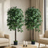 2 Pack 150cm Artificial Ficus Tree Faux Potted Plants