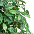 2 Pack 150cm Artificial Ficus Tree Faux Potted Plants