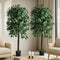 2x Artificial Ficus Tree Faux Potted Plants 180cm