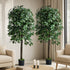 Livsip 2x Artificial Ficus Tree Faux Potted Plants 180cm