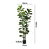 180cm Fiddle Leaf Fig Tree Tall Faux Plant, Fade-Resistant Build