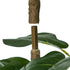 180cm Fiddle Leaf Fig Tree Tall Faux Plant, Fade-Resistant Build