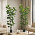 2-Pack Fiddle Leaf Fig Tree Faux Plants, 180cm, Fade-Resistant Set