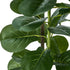 2-Pack Fiddle Leaf Fig Tree Faux Plants, 180cm, Fade-Resistant Set