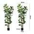 2-Pack Fiddle Leaf Fig Tree Faux Plants, 180cm, Fade-Resistant Set