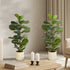 2 Pack 90cm Fiddle Leaf Fig Tree Faux Plant Home Decor