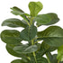 2 Pack 95cm Fiddle Leaf Fig Tree Faux Plant Home Decor