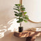 2 Pack 95cm Fiddle Leaf Fig Tree Faux Plant Home Decor