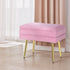 Artiss Ottoman Storage Foot Stool Vanity Velvet Pink