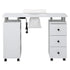 Manicure Table Nail Desk with Built-in Dust Collector Salon Station White