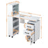 Artiss Manicure Table Nail Desk with Built-in Dust Collector Beauty Salon Station Drawers Shelves Wrist Cushion White