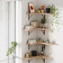 Artiss 4pc Floating Corner Wall Shelves Paulownia Wood 40cm Display Shelf Set