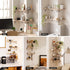 Artiss 4pc Floating Corner Wall Shelves Paulownia Wood 40cm Display Shelf Set