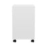 Artiss 5-Drawer Filing Cabinet Mobile Rolling Storage Cabinet Chest of Drawers Stand White