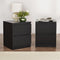 Artiss 2x Pepe Bedside Tables Black 2 Drawer Modern Bedroom Nightstands