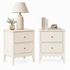 2x Bedside Table 2 Drawers Bedroom Storage Nightstand White