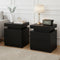 2X Bedside Table 2 Drawers Lift-up Storage Black