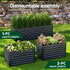 2-in-1 Raised Garden Bed Kit, 240cm/120cm| 77cm Extra Deep Ergonomic Planter Box | Protect Your Back | Galvanised Steel Vegetable Flower Pot for Outdoor Garden | Includes Gloves & Pegs