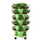 Garden Bed 5 Tier Vertical Garden Grey Strawberry Stackable Planters Herbs Light Green