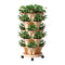 Garden Bed 5 Tier Vertical Garden Grey Strawberry Stackable Planters Herbs Beige