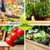 Green Fingers Raised Garden Bed 2x Elevated 120x60x80cm Wooden Planter Box Container