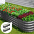 2X Garden Bed Galvanised Raised Garden Bed 240X80X42CM