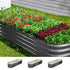 3X Garden Bed Galvanised Raised Garden Bed 240X80X42CM