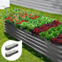 2X Garden Bed Galvanised Raised Garden Bed 320X80X42CM