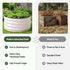 Green Fingers Self Watering Round Garden Bed Galvanised for Balcony Deck 60x60x30cm