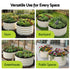 Round Raised Garden Bed 2 Pack Galvanised Planter Box Rust Resistant 60x60x30cm White