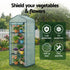 Green Fingers Greenhouse 4 Tiers Mini Green House Garden Bed 1.6x0.7x0.5M