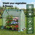Green Fingers Mini Greenhouse 91x46x84cm Steel Frame PE Cover Outdoor Shelter