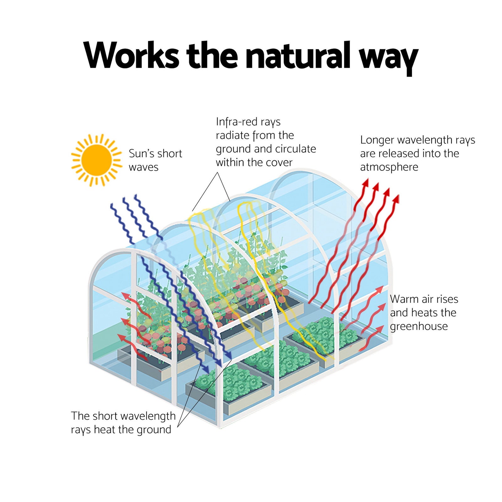 Greenhouse 3x2x2M Walk in Green House White