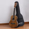 Alpha 31 Inch Acoustic Guitar Portable Design with Steel Strings and Gig Bag Natural