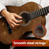 Alpha 31 Inch Acoustic Guitar Portable Design with Steel Strings and Gig Bag Natural
