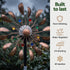 Gardeon Solar Garden Windmill 190cm Metal Wind Spinner Colour Changing Bronze