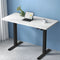 Artiss Standing Desk Motorised White 140CM