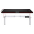 Artiss Standing Desk Motorised Dual Motor 140CM Black