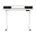 Artiss Electric Standing Desk Dual Motor Office Table With Shelf Drawer120CM