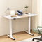 Artiss Standing Desk Motorised Dual Motor 120CM